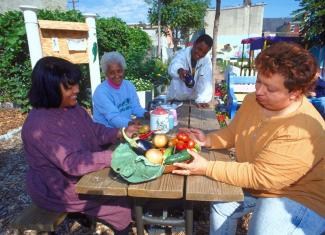 Sharing the harvest at a community garden