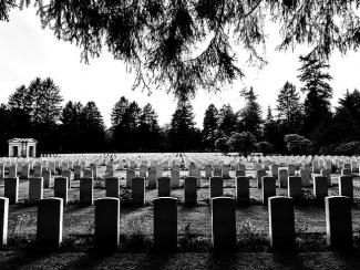 Rows of tombstones in cemetery