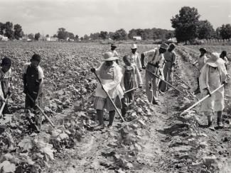 Black sharecroppers