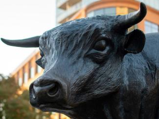 statute of a bull 