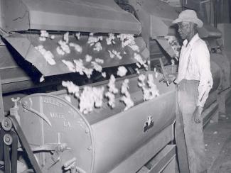 black man working at a cotton gin