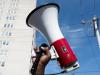Bull horn