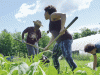 Farmers