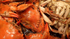 crabs in a seafood boil