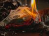 money being lit on fire